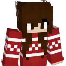 HNMXO Minecraft avatar bust