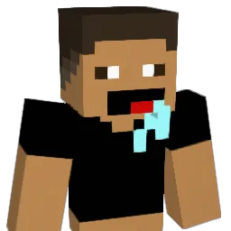 HOEIMHIM Minecraft avatar bust