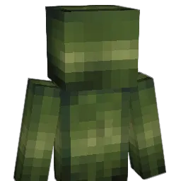 HOE_BLINKI Minecraft avatar bust