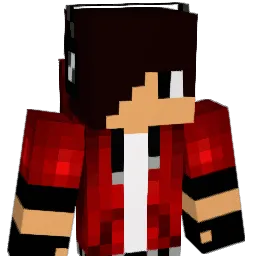 HOPPER2006 Minecraft avatar bust