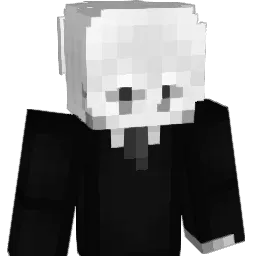 HOU_777 Minecraft avatar bust