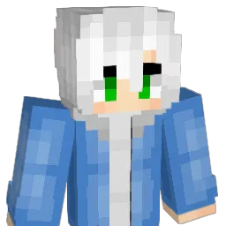 HOYA_413 Minecraft avatar bust