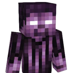 HRSN999 Minecraft avatar bust
