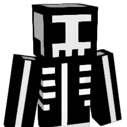 HSLaSH Minecraft avatar bust