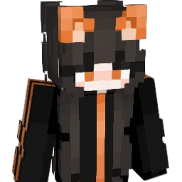 HS_HS's Minecraft skin