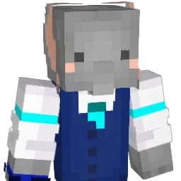 HSflipz