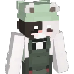 HUMAN_BEEE Minecraft avatar bust