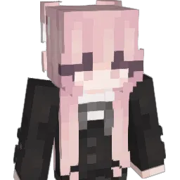 HUNTER_1204 Minecraft avatar bust