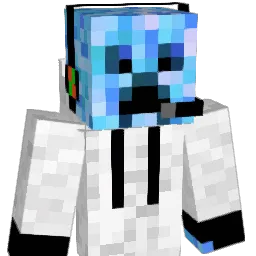 HX7 Minecraft avatar bust