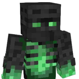 HYDR04 Minecraft avatar bust