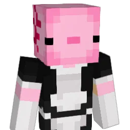 HYP3RXP Minecraft avatar bust