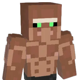 HY_BvRCwF Minecraft avatar bust