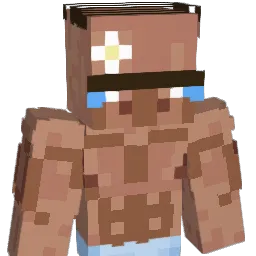HZR55 Minecraft avatar bust
