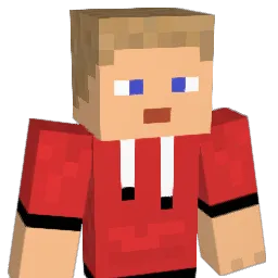 Haas110 Minecraft avatar bust