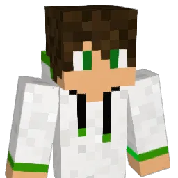 Haas_ Minecraft avatar bust