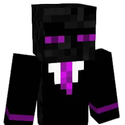HackNoMe Minecraft avatar bust