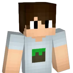 HackNotFound_ Minecraft avatar bust