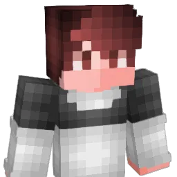Hackerii_I Minecraft avatar bust