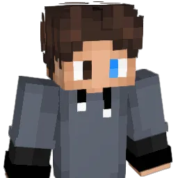 Hacks_010 Minecraft avatar bust