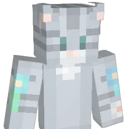 Hacksnow8906557 Minecraft avatar bust