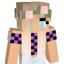 HadleyMiner1 Minecraft avatar bust