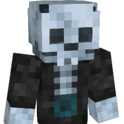 Haidar_18 Minecraft avatar bust