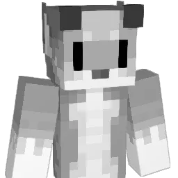 Haidi_ Minecraft avatar bust