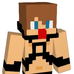 Hailswxst