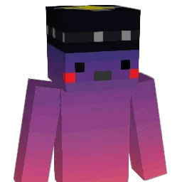 HakBro Minecraft avatar bust