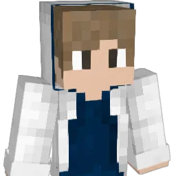 HakanS Minecraft avatar bust