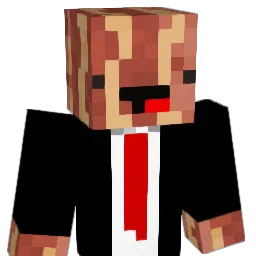 Hallsy113 Minecraft avatar bust
