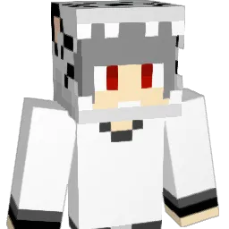 HamMyKung Minecraft avatar bust