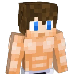 Hamed1123 Minecraft avatar bust
