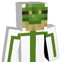 Hamish_ Minecraft avatar bust