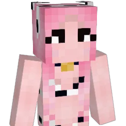 Hammy13 Minecraft avatar bust