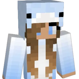 HanBan238 Minecraft avatar bust