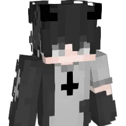 HanWish's Minecraft skin