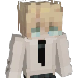 Han_aoo's Minecraft skin