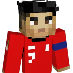 HanikPL's Minecraft skin