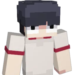 Hank0_ Minecraft avatar bust