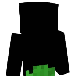 HankyDorry Minecraft avatar bust