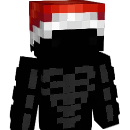 Hannes_1204 Minecraft avatar bust