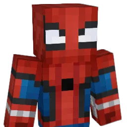 Hannswnk Minecraft avatar bust