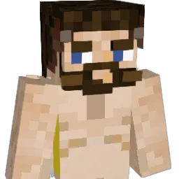 Hans_007 Minecraft avatar bust