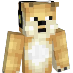HappySkills Minecraft avatar bust