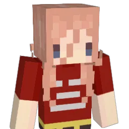 HardlyStellar Minecraft avatar bust