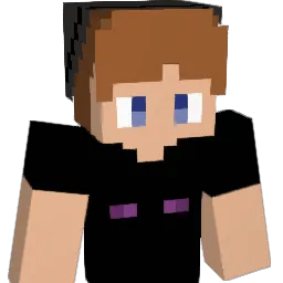HarriR087 Minecraft avatar bust