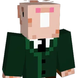 HarryTheWookie8 Minecraft avatar bust