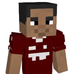 Hasbii Minecraft avatar bust