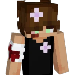 HashtagWinna Minecraft avatar bust